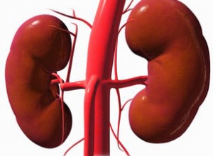 Bệnh suy thận nguyên nhân, triệu chứng cách phòng và điều trị